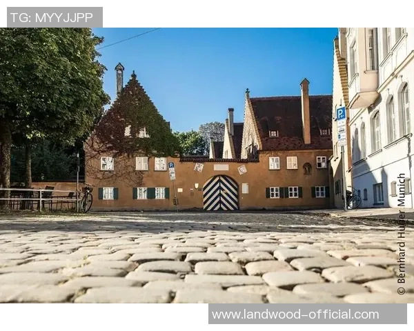 探索科森扎的历史与文化魅力，感受意大利小城的独特风情与人文底蕴