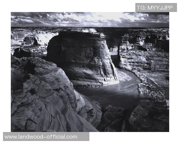 亚当斯的传奇人生与影响力探秘：从历史到现代的深远启示